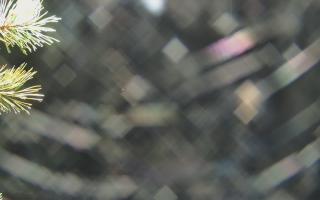 Sromowce Wyżne Flisacy - 03-11-2025 19:04