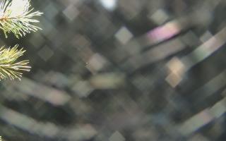 Sromowce Wyżne Flisacy - 03-11-2025 19:11