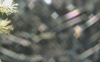 Sromowce Wyżne Flisacy - 03-11-2025 19:34