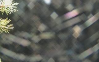 Sromowce Wyżne Flisacy - 03-11-2025 19:42