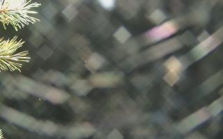 Sromowce Wyżne Flisacy - 03-11-2025 20:04