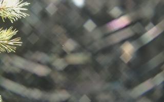 Sromowce Wyżne Flisacy - 03-11-2025 20:12