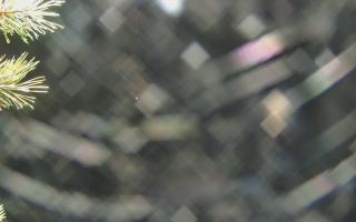 Sromowce Wyżne Flisacy - 03-11-2025 20:27