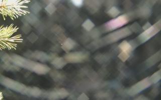 Sromowce Wyżne Flisacy - 03-11-2025 20:35