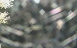 Sromowce Wyżne Flisacy - 03-11-2025 20:42