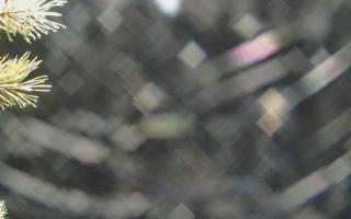 Sromowce Wyżne Flisacy - 03-11-2025 20:50