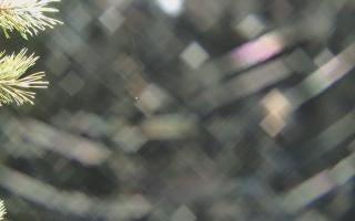 Sromowce Wyżne Flisacy - 03-11-2025 20:58