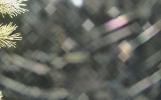 Sromowce Wyżne Flisacy - 03-11-2025 21:05