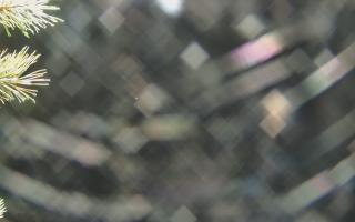 Sromowce Wyżne Flisacy - 03-11-2025 21:36