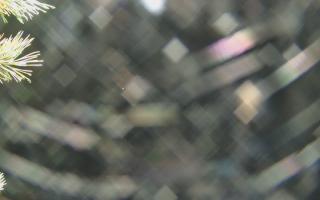 Sromowce Wyżne Flisacy - 03-11-2025 22:36