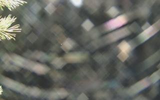 Sromowce Wyżne Flisacy - 03-11-2025 22:44