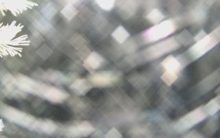 Sromowce Wyżne Flisacy - 03-11-2025 22:59