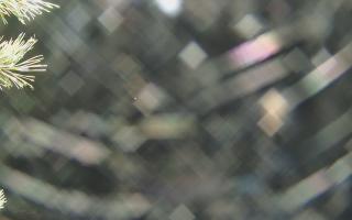 Sromowce Wyżne Flisacy - 03-11-2025 23:07