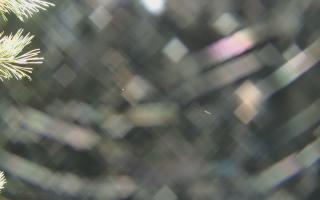 Sromowce Wyżne Flisacy - 03-11-2025 23:30