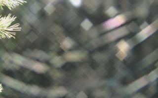 Sromowce Wyżne Flisacy - 03-11-2025 23:37