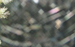 Sromowce Wyżne Flisacy - 03-11-2025 23:45