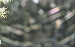 Sromowce Wyżne Flisacy - 03-11-2025 23:52