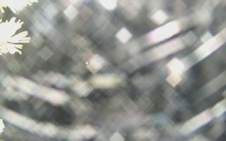 Sromowce Wyżne Flisacy - 04-11-2025 00:00