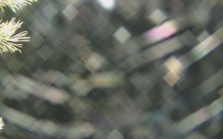 Sromowce Wyżne Flisacy - 04-11-2025 00:08