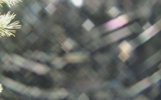 Sromowce Wyżne Flisacy - 04-11-2025 00:15