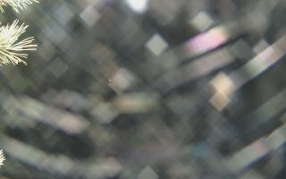 Sromowce Wyżne Flisacy - 04-11-2025 00:38