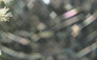 Sromowce Wyżne Flisacy - 04-11-2025 01:31