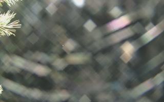 Sromowce Wyżne Flisacy - 04-11-2025 01:39