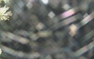 Sromowce Wyżne Flisacy - 04-11-2025 01:54