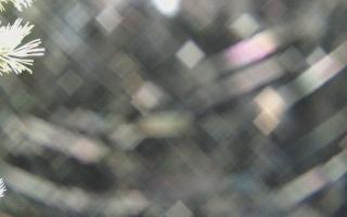 Sromowce Wyżne Flisacy - 04-11-2025 02:09