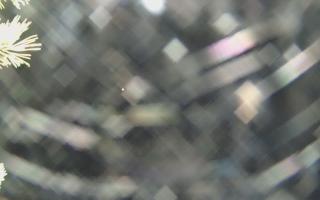 Sromowce Wyżne Flisacy - 04-11-2025 02:17