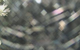 Sromowce Wyżne Flisacy - 04-11-2025 02:39