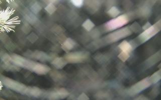 Sromowce Wyżne Flisacy - 04-11-2025 02:55