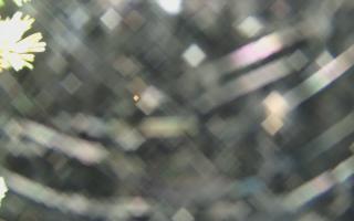 Sromowce Wyżne Flisacy - 04-11-2025 03:10