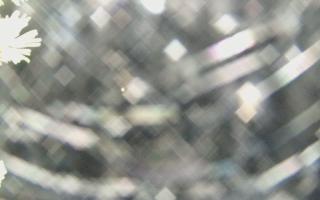 Sromowce Wyżne Flisacy - 04-11-2025 03:17