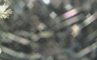 Sromowce Wyżne Flisacy - 04-11-2025 03:25