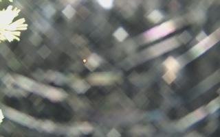 Sromowce Wyżne Flisacy - 04-11-2025 03:33