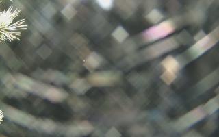 Sromowce Wyżne Flisacy - 04-11-2025 03:48