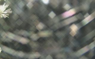 Sromowce Wyżne Flisacy - 04-11-2025 03:55