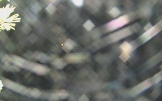 Sromowce Wyżne Flisacy - 04-11-2025 04:18