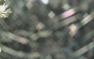 Sromowce Wyżne Flisacy - 04-11-2025 04:33