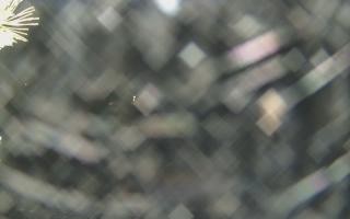 Sromowce Wyżne Flisacy - 13-12-2025 15:32