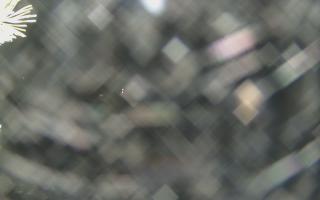 Sromowce Wyżne Flisacy - 13-12-2025 15:55