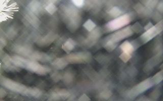 Sromowce Wyżne Flisacy - 13-12-2025 16:25