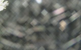 Sromowce Wyżne Flisacy - 13-12-2025 16:48