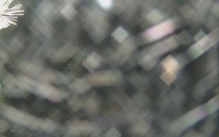 Sromowce Wyżne Flisacy - 13-12-2025 17:11