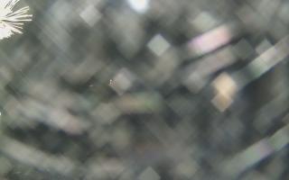 Sromowce Wyżne Flisacy - 13-12-2025 17:26