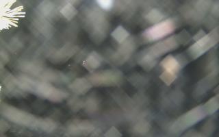 Sromowce Wyżne Flisacy - 13-12-2025 17:56