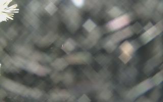 Sromowce Wyżne Flisacy - 13-12-2025 18:12