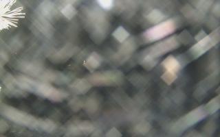 Sromowce Wyżne Flisacy - 13-12-2025 18:27