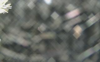 Sromowce Wyżne Flisacy - 13-12-2025 19:20